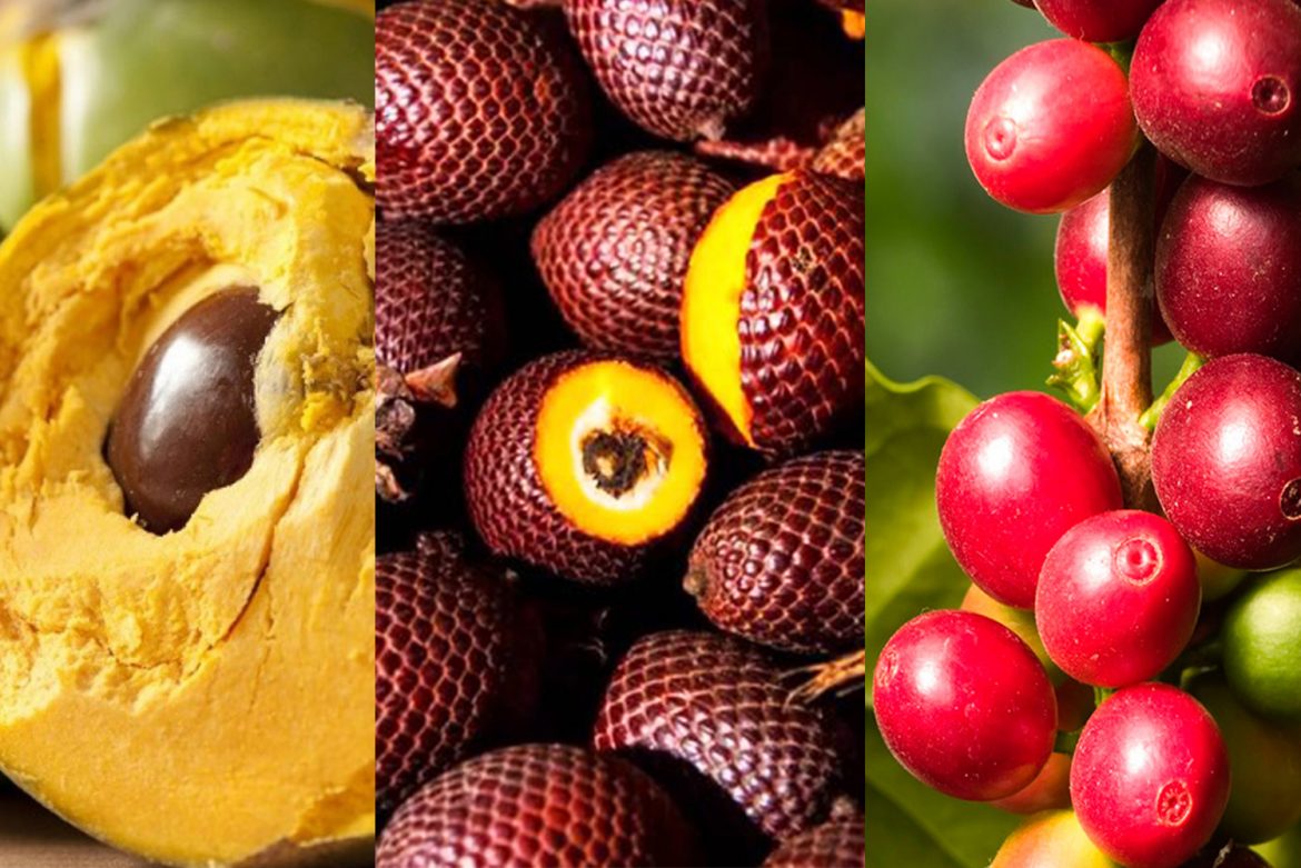 Peruvian Exotic fruits you Need to Know